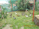 DSCN5860