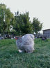 IMG_20140605_195848