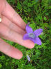 natura cu frumusetile ei 011