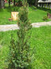 natura cu frumusetile ei 022