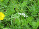 natura cu frumusetile ei 054