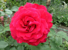 SAM_6746