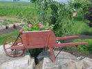 11403475-pid-3611-amish-old-fashioned-replica-wheelbarrow-rustic-medium-4