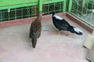 DSC06297
