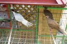 DSC05633