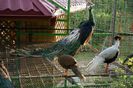 DSC05898