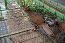 DSC05920