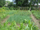 Picture 3102