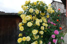 DSC00271