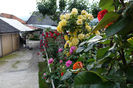 DSC00280