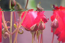 DSC00290