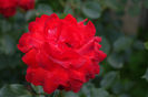 DSC00291