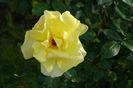 DSC00306