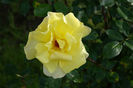 DSC00307