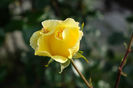 DSC00308