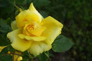 DSC00321