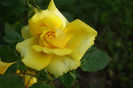 DSC00322