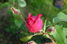 DSC00327