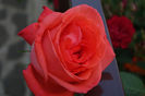 DSC00336