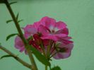 DSCN7258