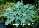 Hosta%20Andorian-photo-made-by-Danny-Van-Eechaute-3