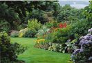 Mixed_Border_-_Summer