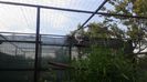 20140605_191747