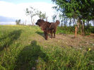 20140606_194255