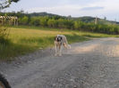 20140606_200814