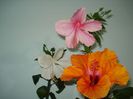 DSC09206