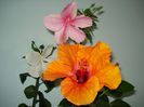 DSC09209
