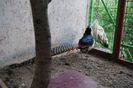 DSC06051