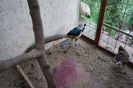 DSC06073