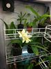 20140607_083900