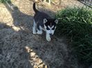 DSC04210