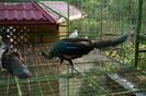 DSC05911