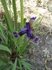 DSCF3015