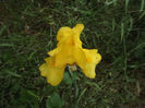 DSCF3046