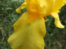 DSCF3049