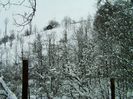 IMAG0640