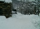IMAG0672