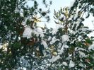 IMAG0529