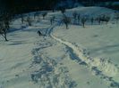 IMAG0534