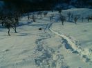 IMAG0535