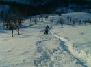 IMAG0541