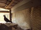 poze azi 06-06-2014 2205
