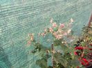 IMG_20140607_193925