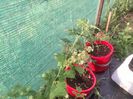 IMG_20140607_193930