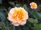 20140607_155826