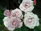 20140607_155733